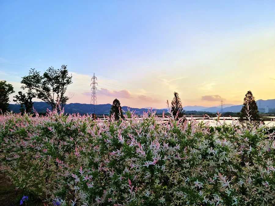 충북 제천 비행장, 삼한의 초록길, 에코브릿지 전망대, 의림지, 예빛마을, 맛집 식당 가볼만한 곳 추천