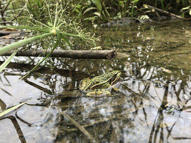 경칩의 기원 음식 여행지