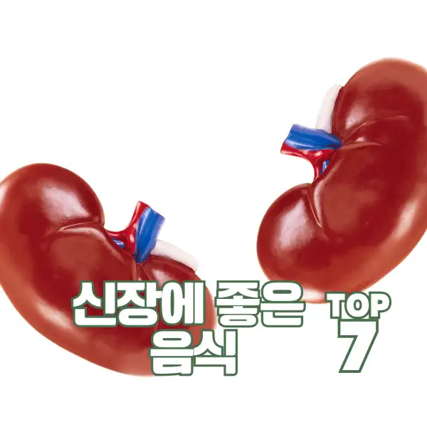 신장에 좋은 음식