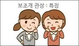 보조개 관상 특징