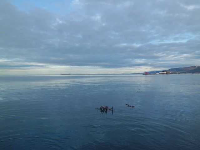 이탈리아 트리에스테 통일 광장 앞 잔잔한 아드리아 해