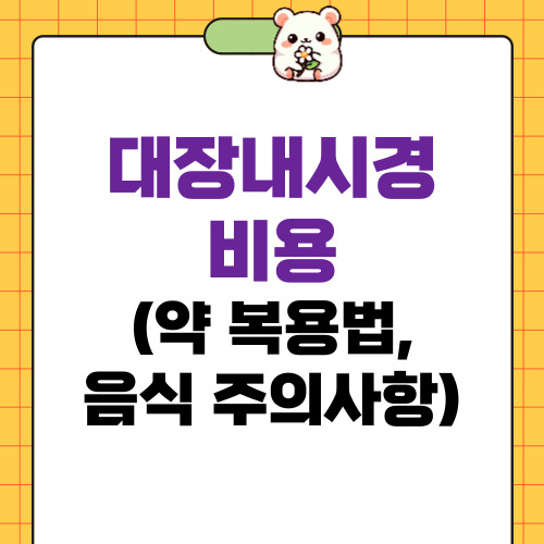 대장내시경 비용