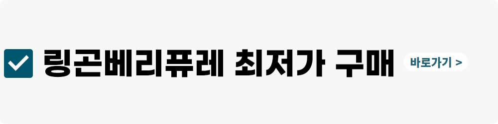 링곤베리 퓨레 최저가 구매