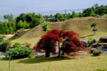 압해도 분재공원 근처 선착장에서의 낚시 농어와 도다리 포인트 소개 완벽 낚시터_7