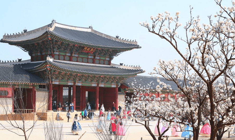 서울 벚꽃명소 추천 BEST 10+ 데이트 코스