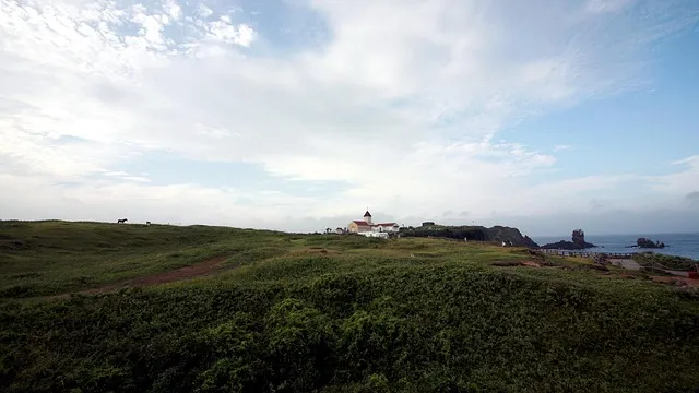 제주 유채꽃 개화 시기 봄 여행 필수 코스_4
