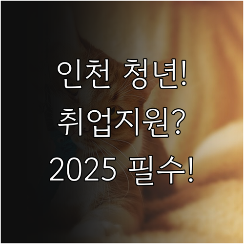 인천 동구 청년 구직자 2025 취업..