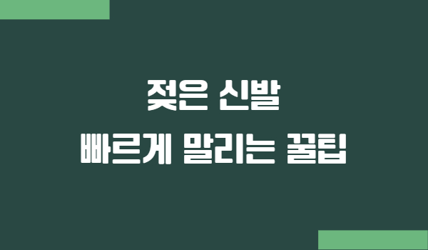젖은 신발 빠르게 말리는 꿀팁