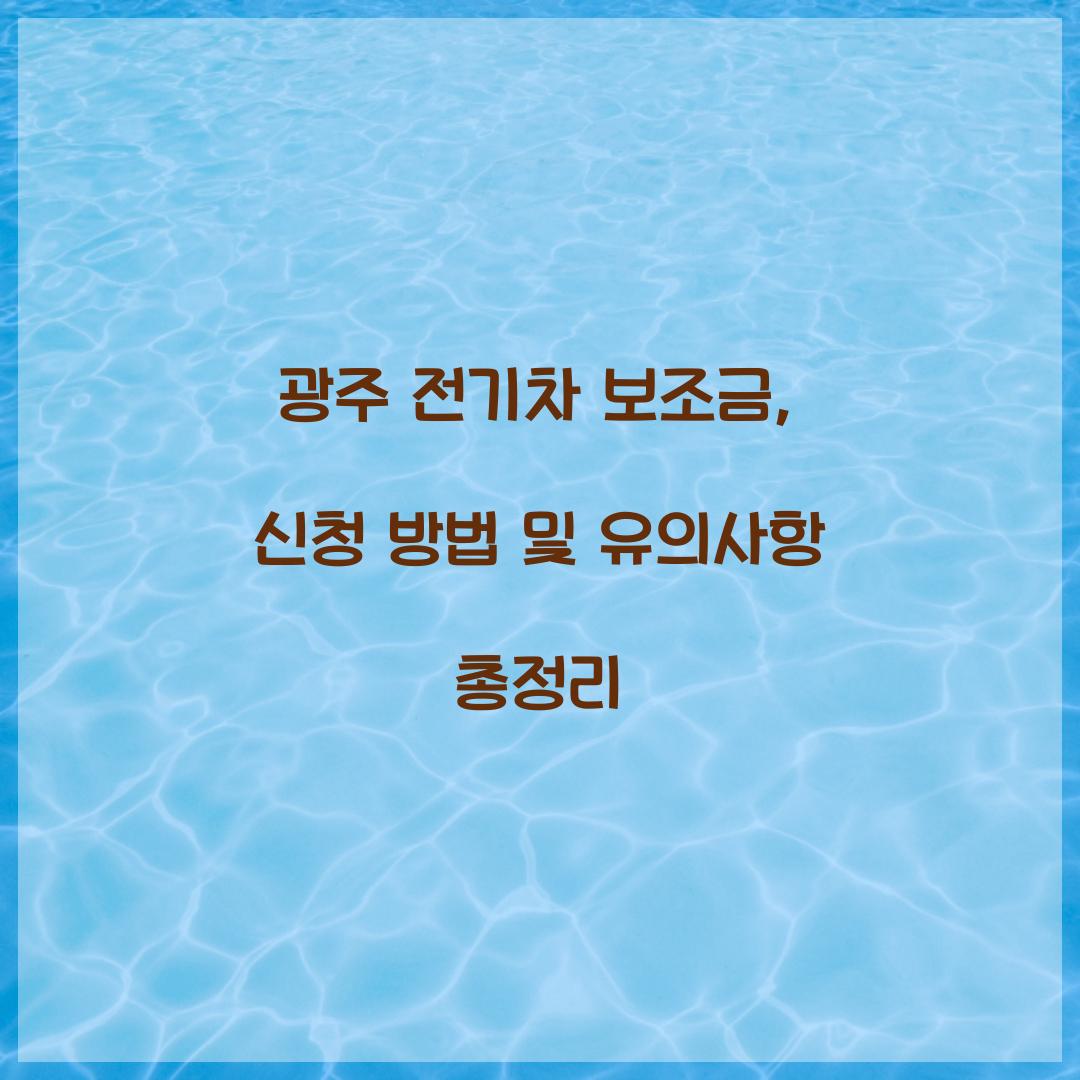 광주 전기차 보조금
