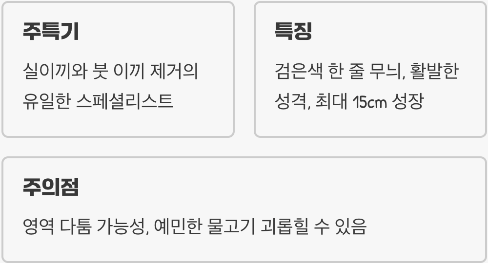 실이끼의 천적&amp;#44; 날쌘돌이 시아미즈 알지이터
