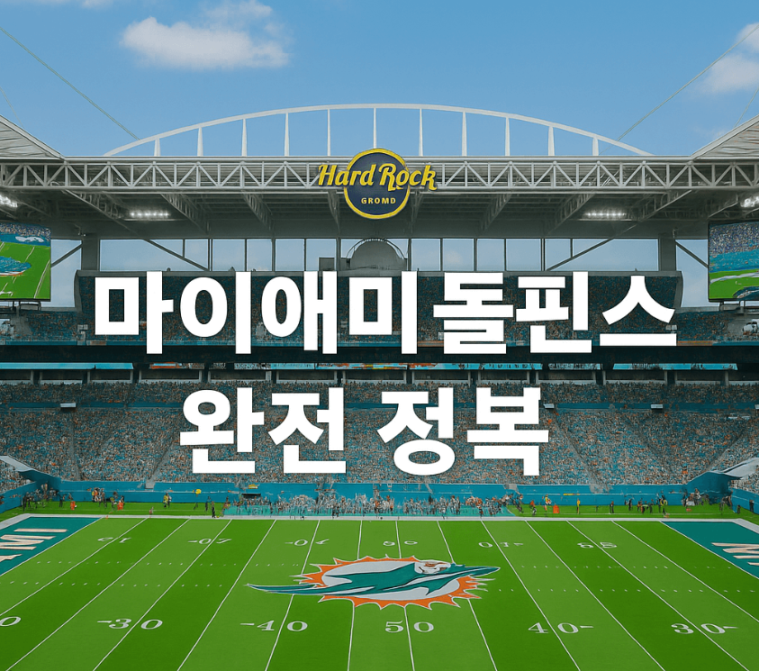 마이애미 돌핀스 완전 정복