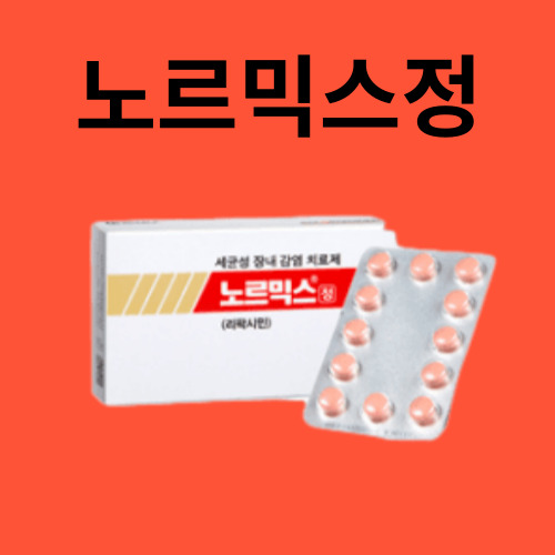 노르믹스정