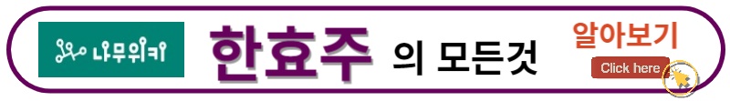 한효주
