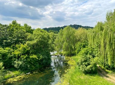 5월 가정의 달 주말 나들이, 아이와 함께하는 클래식 공연 추천!