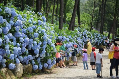 해남 포레스트 수목원