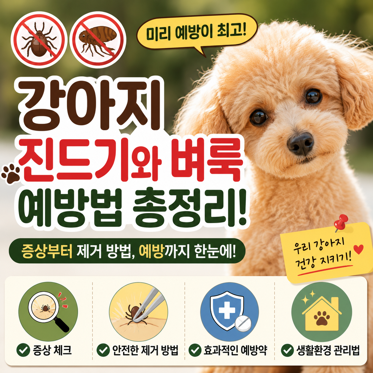 강아지 진드기와 벼룩 예방법 총정리|증상, 제거 방법, 예방까지 한 번에