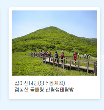 숲나들이 예약
