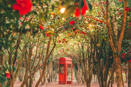 제주 에코랜드 호텔 곶자왈 숲속 힐링 여행 (6세 아이랑 겨울 제주도)