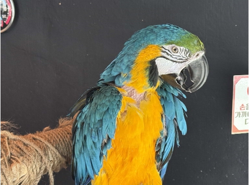 동물의 고통을 외면하는 ‘체험’