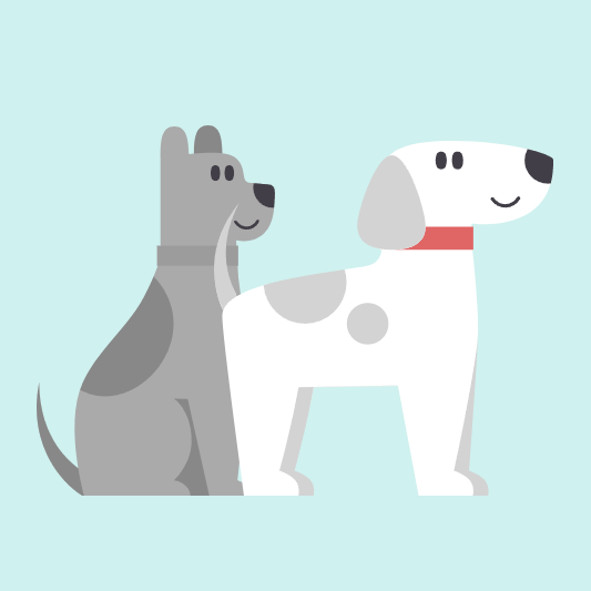 반려동물-의료지원비