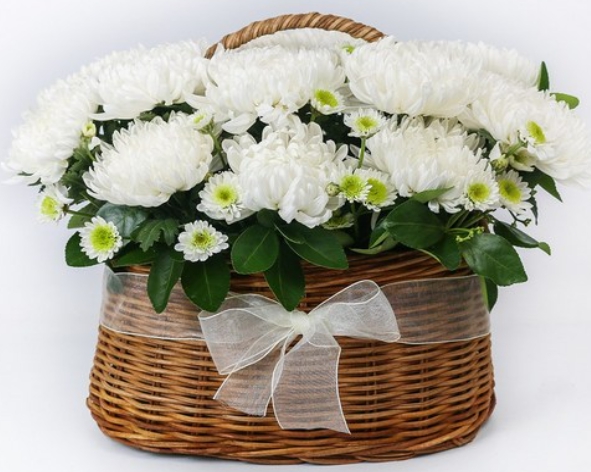 가을에 피는 꽃 종류 해바라기-국화