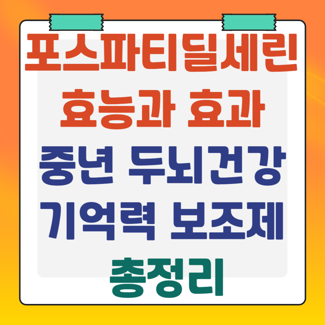 포스파티딜세린-효능과-효과-중년-두뇌건강-기억력-보조제