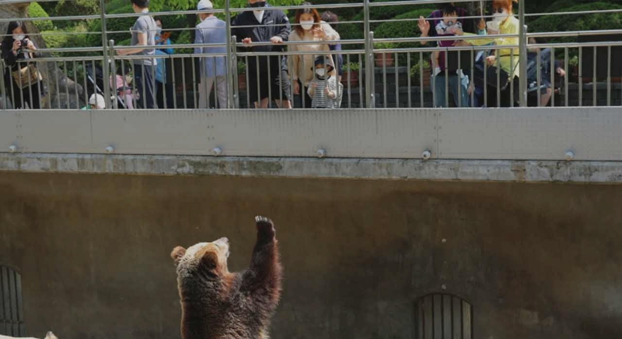 반달곰이 사는 사육장은 아이들에게 인기 있는 관람 포인트이다. [ⓒ농업회사법인 주식회사 베어트리파크 이재헌]
