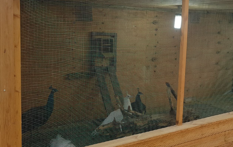 덕평 공룡수목원