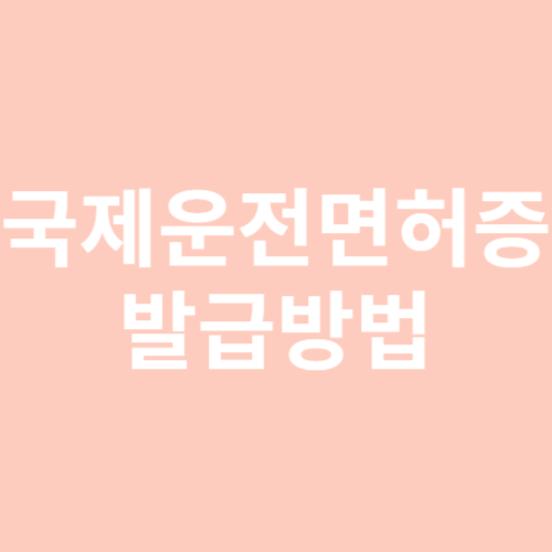 국제운전면허증 발급 방법