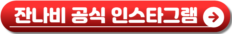잔나비 콘서트