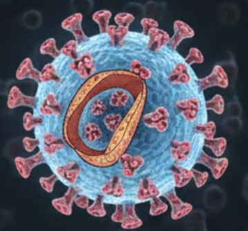 노로바이러스 증상