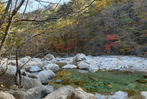 한계령10