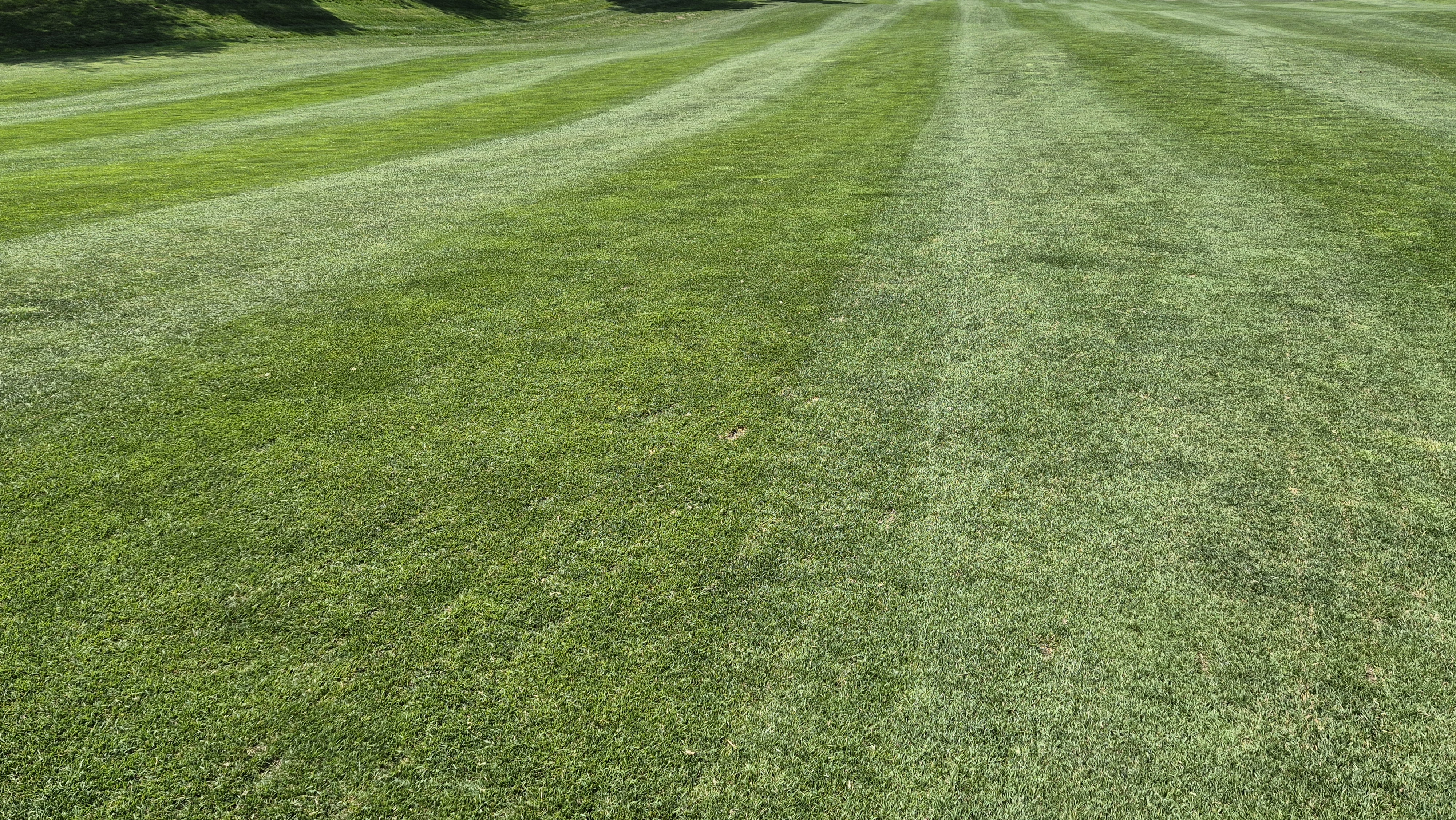 소노펠리체cc 비발디파크 웨스트