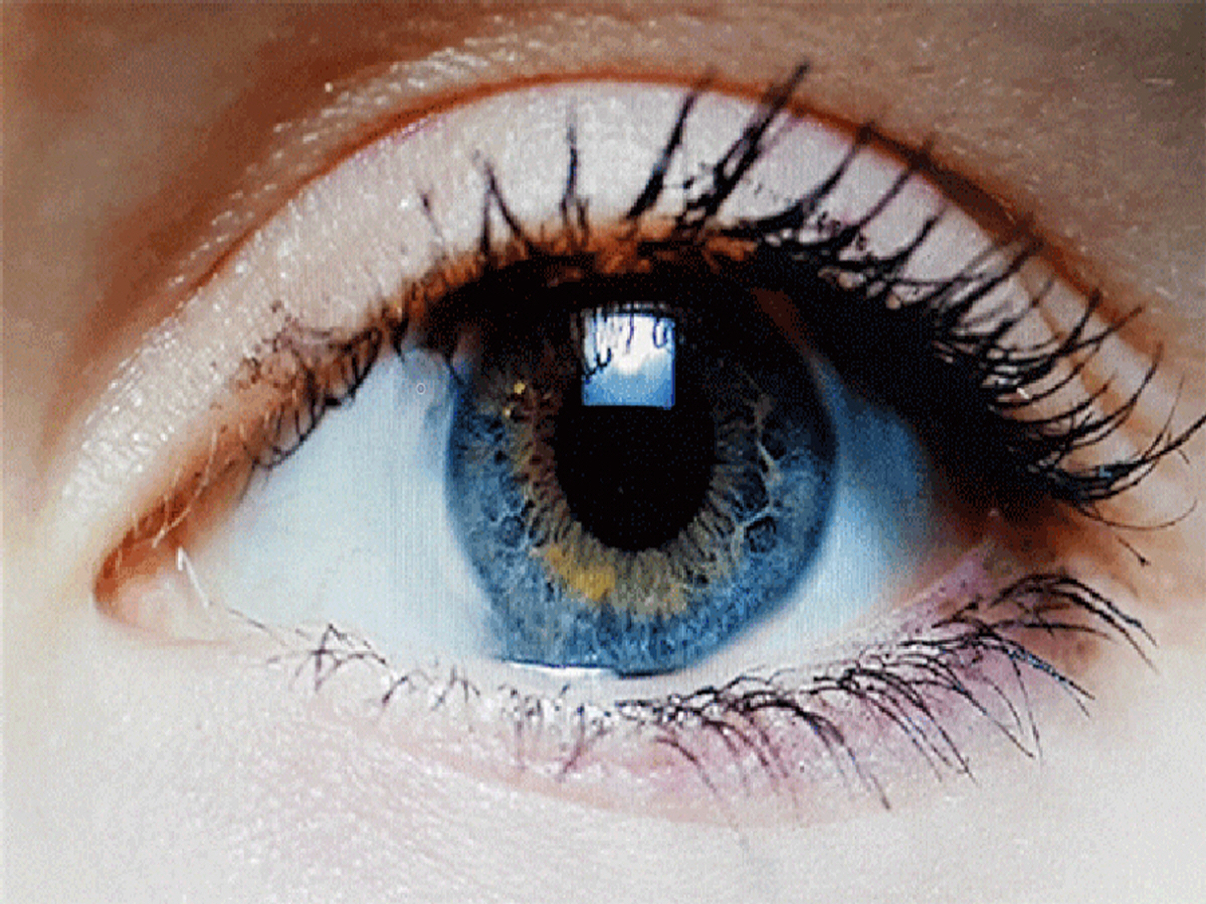 이 글은 1 억 원씩 내고 봐도 아깝지 않아요