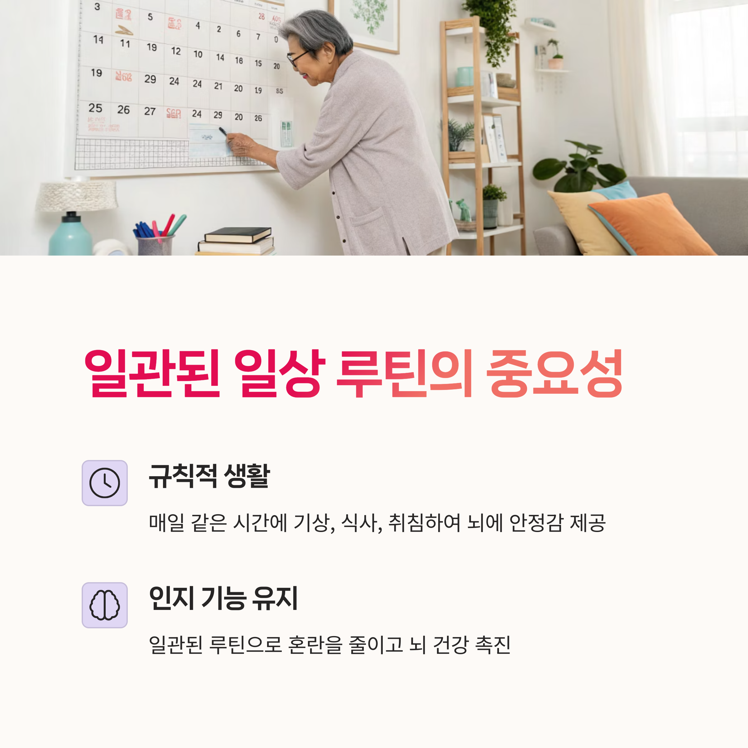 뇌운동, 인지기능,