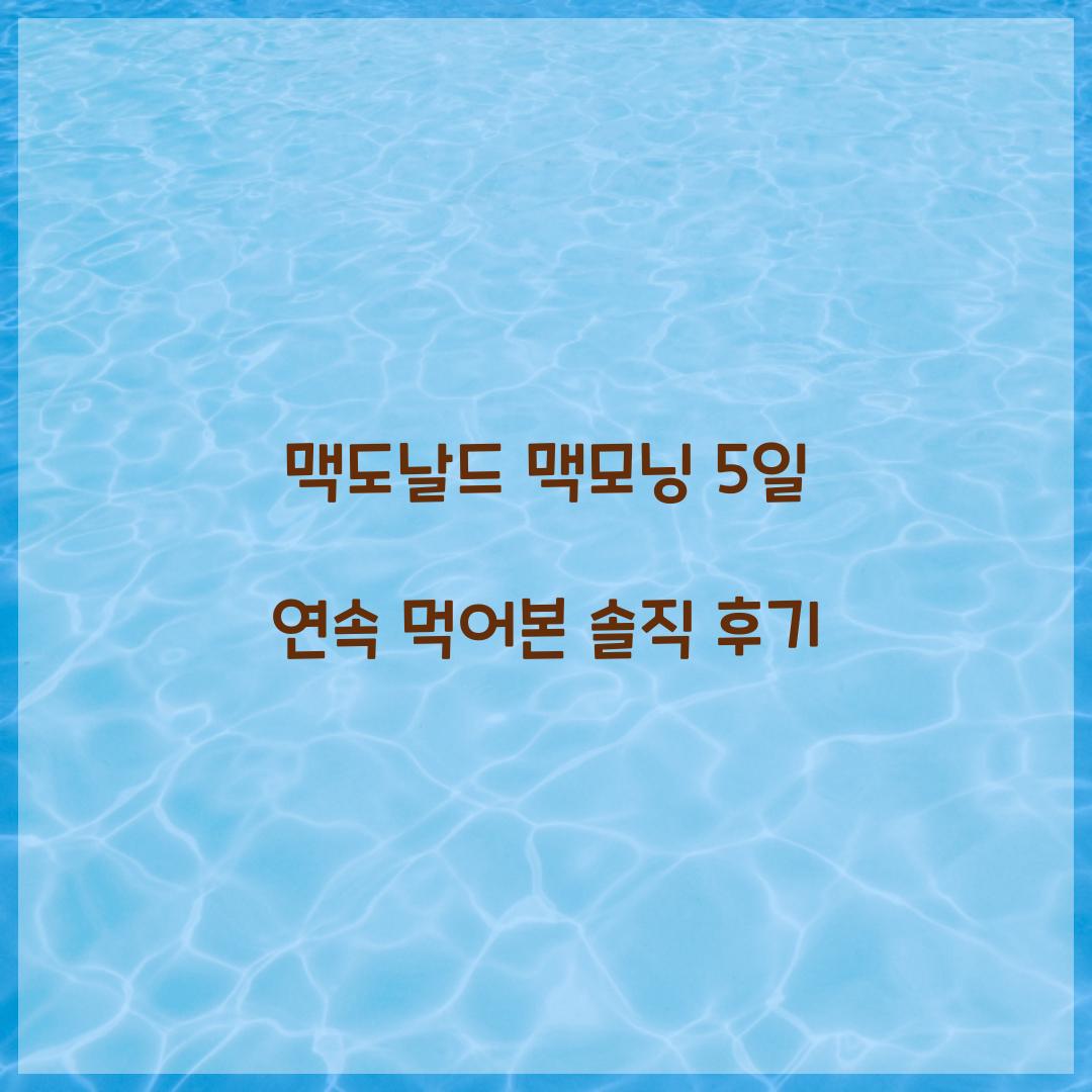 맥도날드 맥모닝 5일 연속 먹어본 솔직 후기