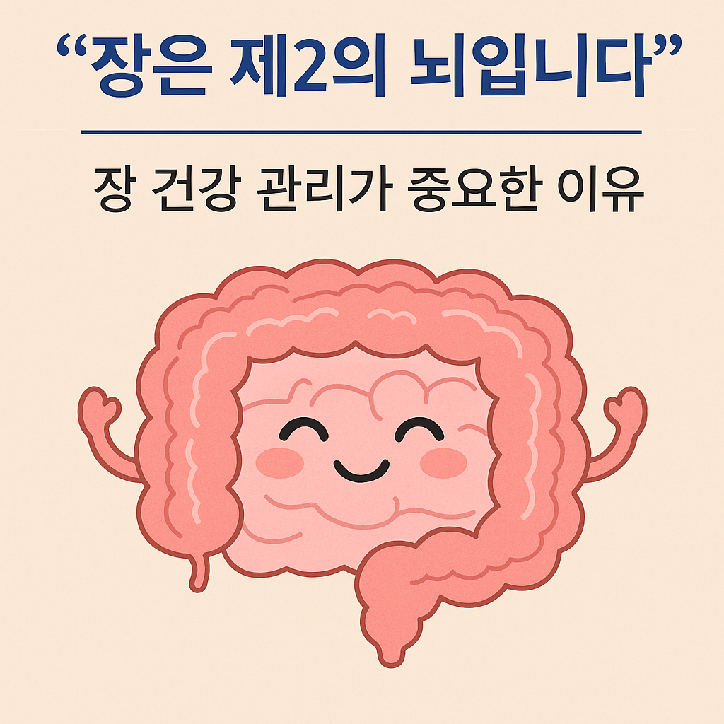 장은 제2의 뇌입니다” — 장 건강 관리가 중요한 이유 3가지