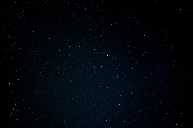 콜럼버자리(Columba) – 하늘로 날아오른 평화의 비둘기