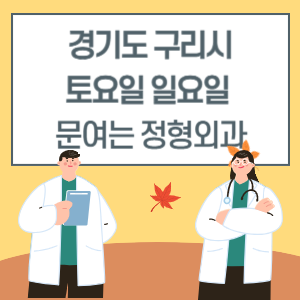 경기도 구리시 토요일 일요일 정형외과 진료 문여는 병원 리스트