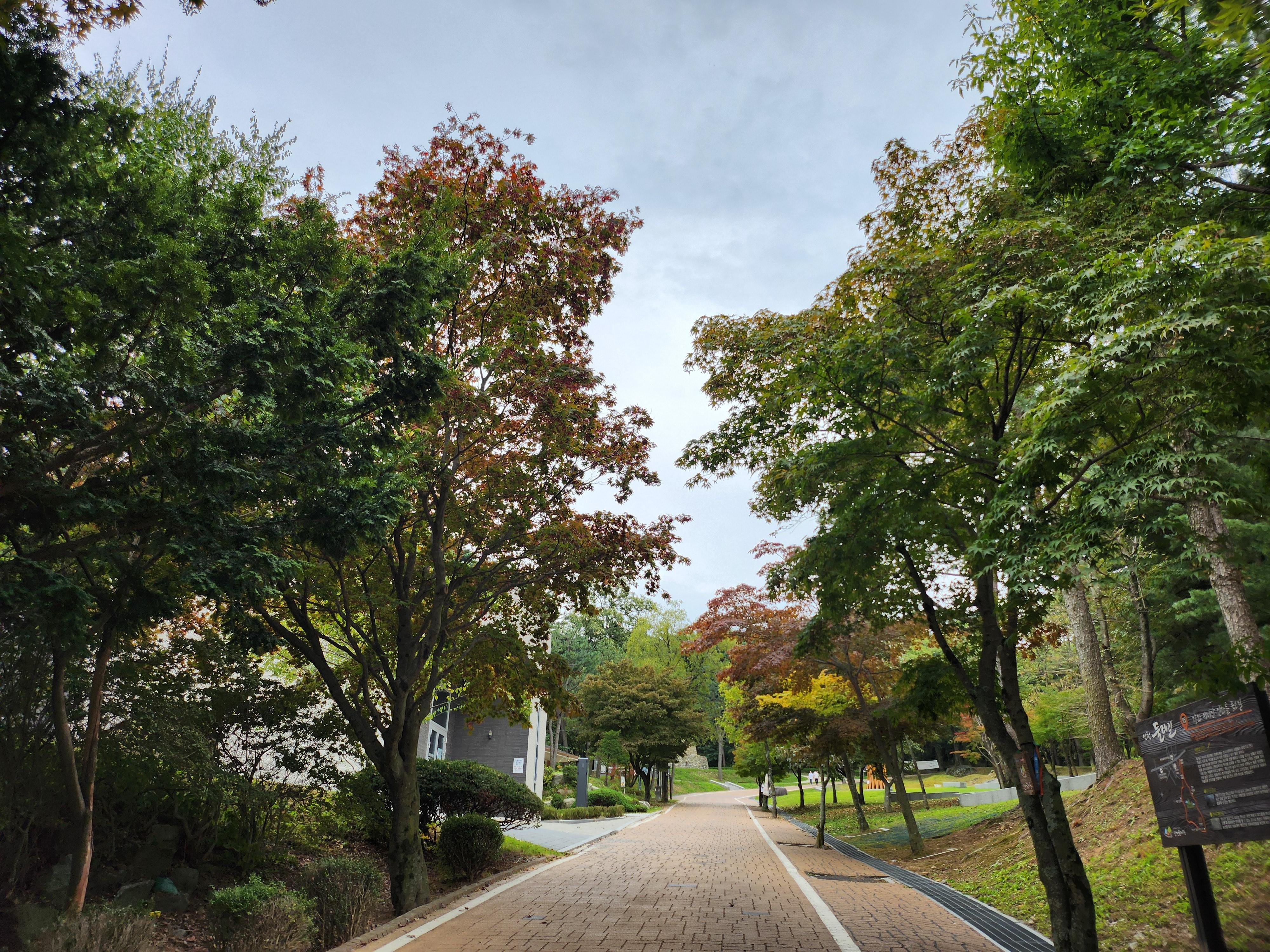 강화마니산등산로입장료