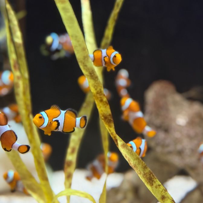 경포아쿠아리움