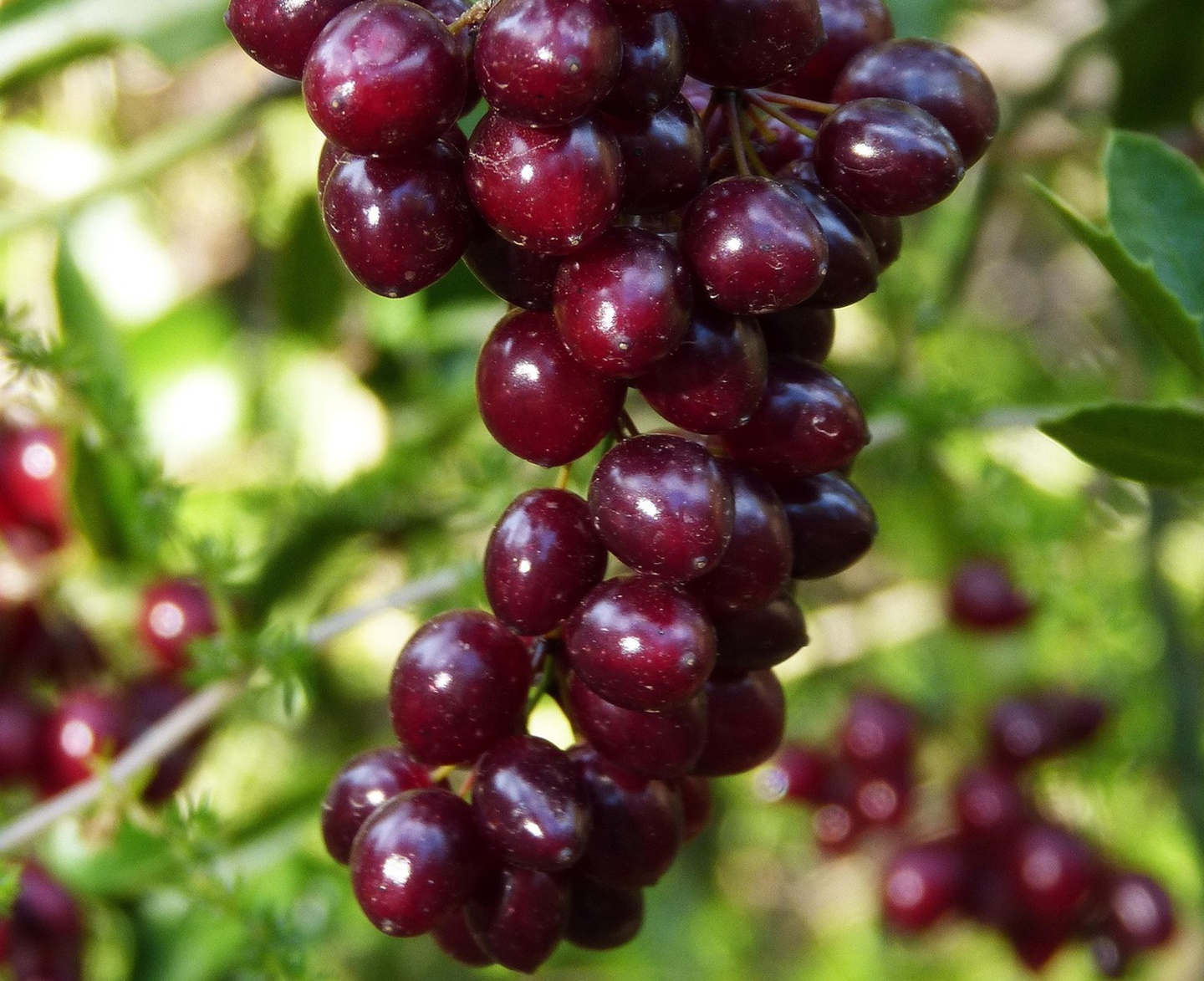 나는 왜 아직 아프지 않은데도 혈당 관리를 시작했을까!