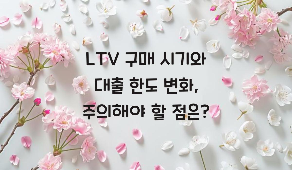 LTV 구매 시기