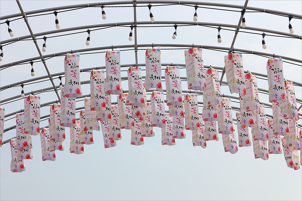 제9회 김해꽃축제 기본일정과 프로그램 정리 안성훈 김수찬 미스김 출연