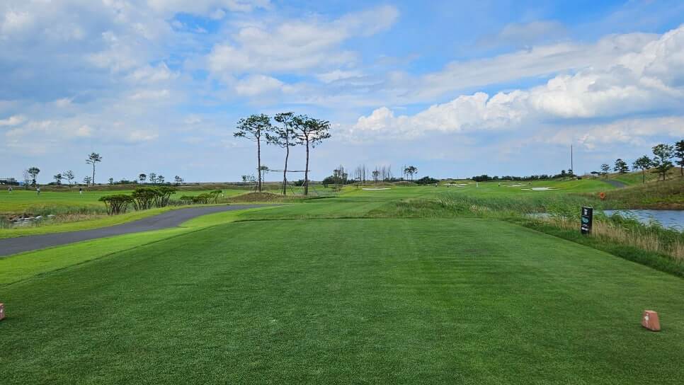 골프장경험담 당진 플라밍고CC 서해안의 시원한 바다와 푸르른 대지위에 조성된 30홀 골프장