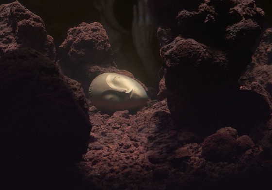 피에르 위그 개인전