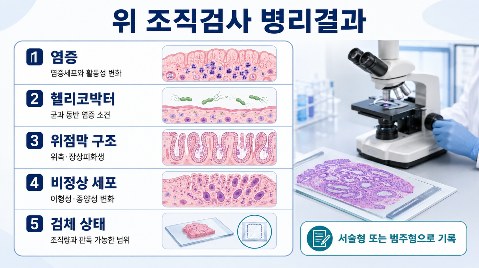 위 조직검사 병리결과에 기록되는 염증 헬리코박터 위점막 구조 비정상 세포와 검체 상태