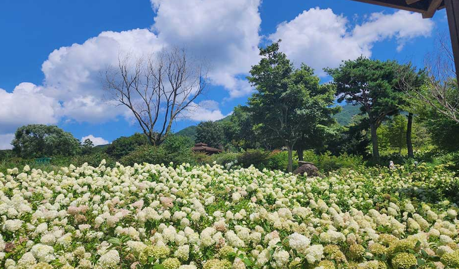 지리산허브밸리1