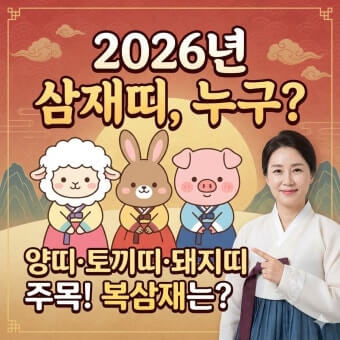 2026년 삼재띠