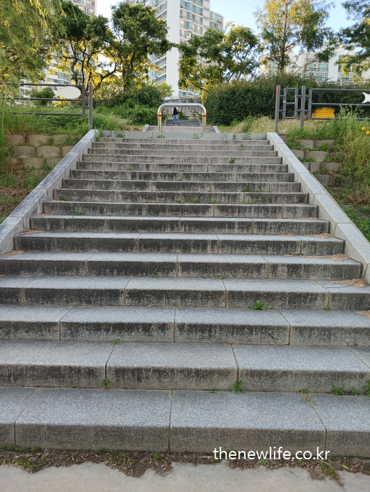 Wide stone steps near an apartment complex &ndash; great for daily stair climbing workout-아파트 인근에 설치된 넓은 석재 계단 &ndash; 일상 속 계단오르기 운동에 적합한 구조물